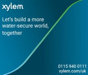 Xylem