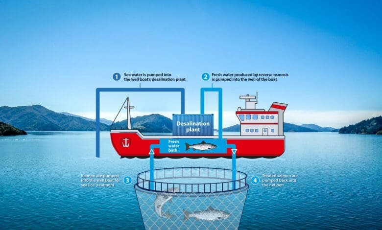 the role pumping systems play in ensuring a growing global demand for farmed salmon