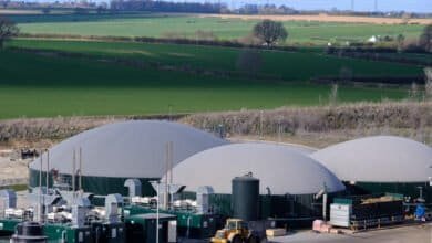 2MW biogas plant run by Singleton Birch