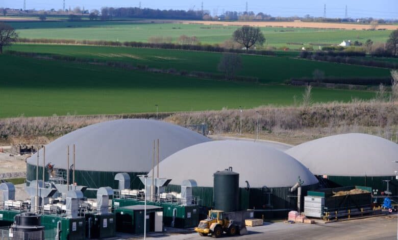 2MW biogas plant run by Singleton Birch